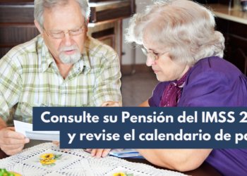checar pensión IMSS 2024