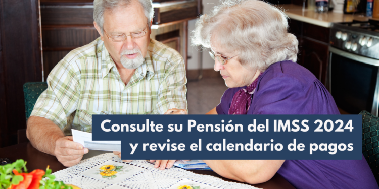 checar pensión IMSS 2024