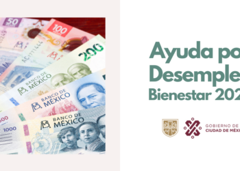 ayuda-desempleo-bienestar