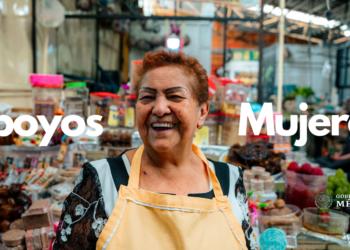 Apoyos Económicos del Gobierno para Mujeres 2025