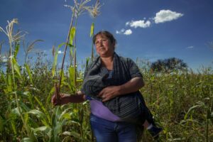 AYUDA DE GOBIERNO PARA MUJERES visual data 6