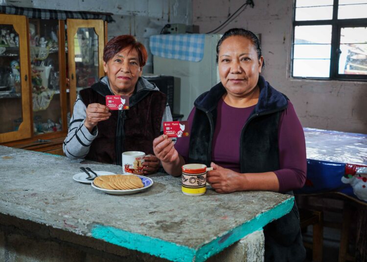 AYUDA DE GOBIERNO PARA MUJERES visual data 4